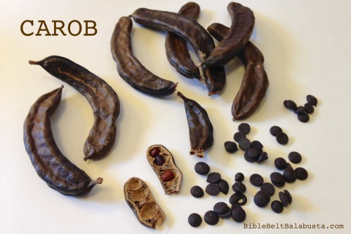 carob pods, seeds and chips